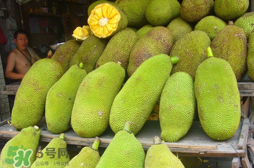 木菠蘿買來怎么吃？木菠蘿吃多了會怎樣？