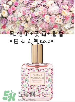 ohana mahaalo香水是什么牌子？ohana mahaalo在哪買？