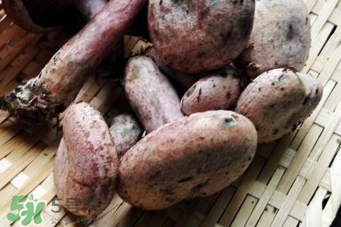 重陽菌怎么做好吃？吃重陽菌有什么好處