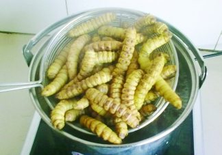 豆丹做菜前怎么處理干凈？豆丹怎么養(yǎng)殖