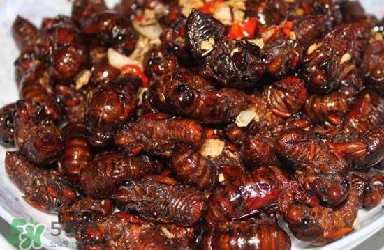 油炸知了猴幾分鐘？油炸知了猴怎么做好吃？