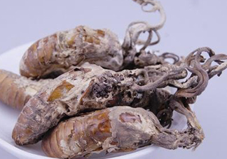 金蟬花多少錢一斤？2017金蟬花價(jià)格