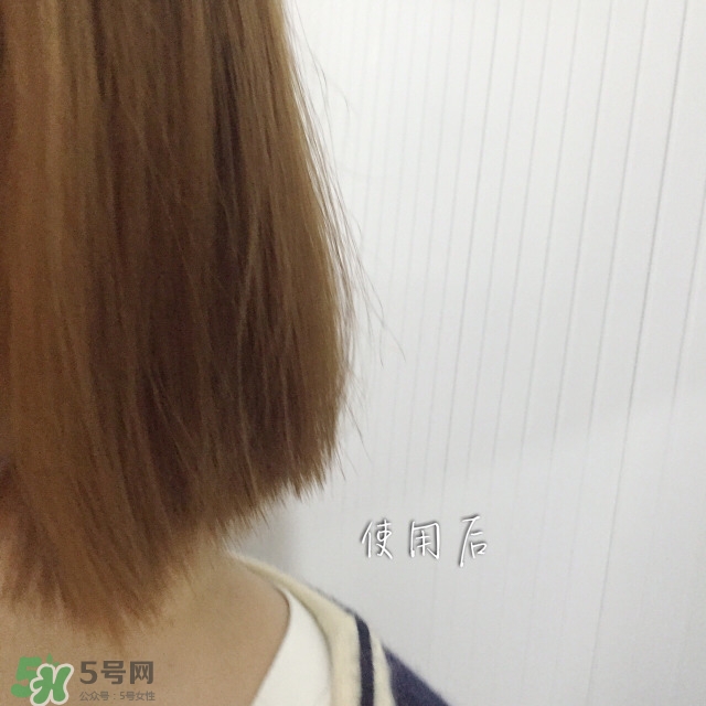 mm魔法梳和tt梳子哪個好？michel mercier和tangle teezer魔法梳