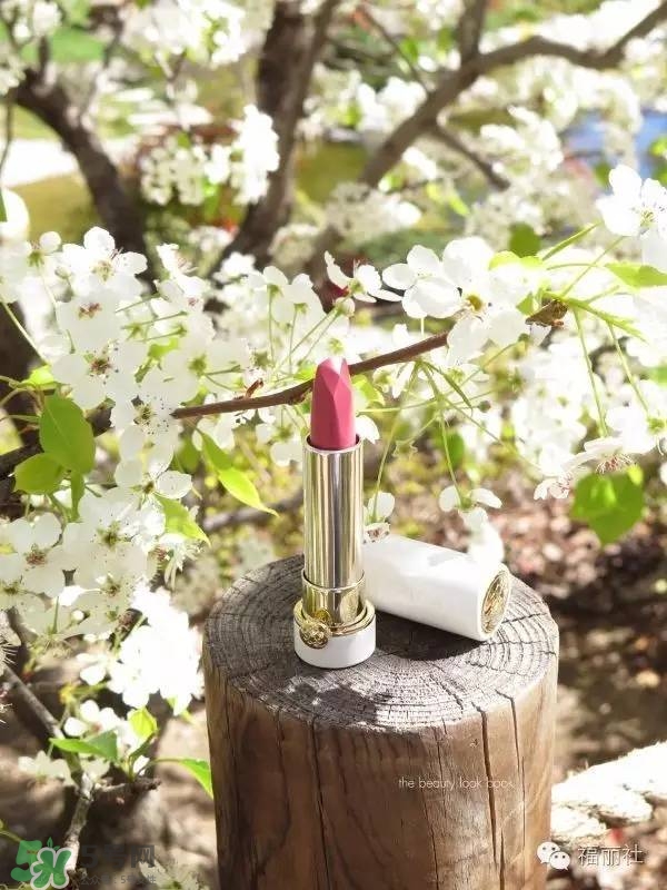 tatcha梅子粉好看嗎？tatcha白管口紅梅子粉試色