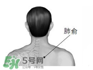 三伏貼能治過敏性鼻炎嗎？三伏貼治過敏性鼻炎貼哪里？