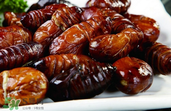 蟬蛹可以保存多長(zhǎng)時(shí)間？蟬蛹冰凍起來(lái)能保存多久