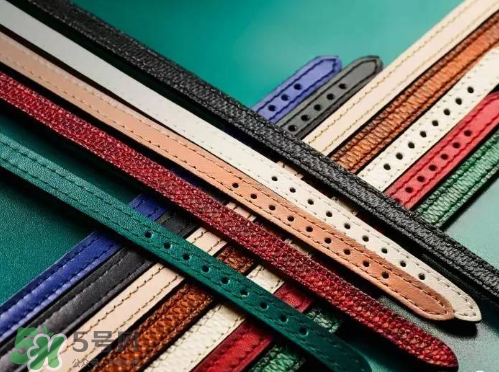 寶格麗全新serpenti系列腕表怎么樣？寶格麗全新蛇形手表好不好？