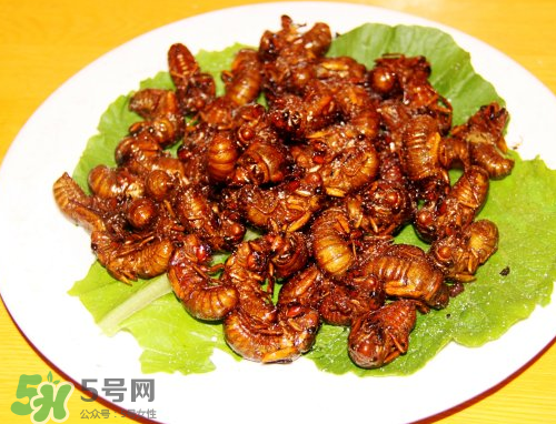 知了猴為什么要用鹽水泡？知了猴用鹽水泡多久？