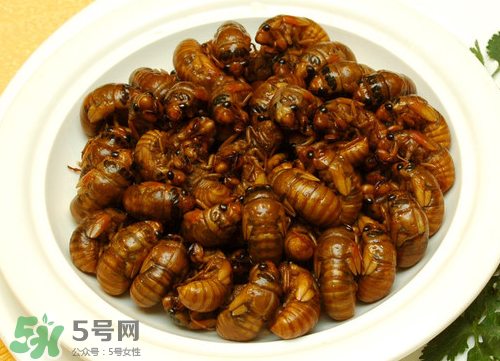 知了猴為什么要用鹽水泡？知了猴用鹽水泡多久？