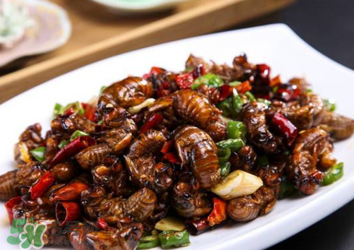 知了猴為什么要用鹽水泡？知了猴用鹽水泡多久？