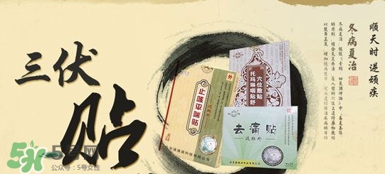 貼三伏貼掛什么科？三伏貼掛什么號？