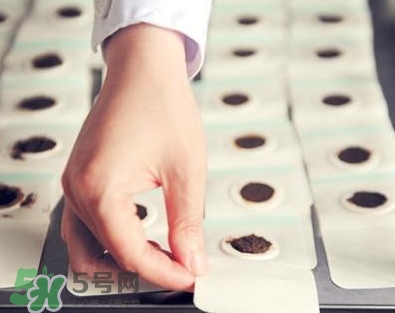 貼三伏貼可以吃魚嗎？貼三伏貼可以吃什么魚？