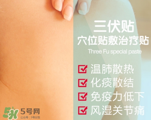 貼三伏貼可以吃魚嗎？貼三伏貼可以吃什么魚？