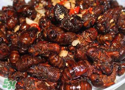 知了猴能淹死嗎？知了猴哪個(gè)部位不能吃？