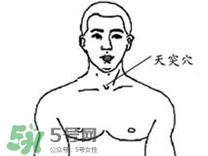 三伏貼能治過敏性鼻炎嗎？三伏貼治過敏性鼻炎貼哪里？