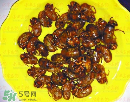 知了猴能淹死嗎？知了猴哪個(gè)部位不能吃？