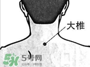三伏貼能治過敏性鼻炎嗎？三伏貼治過敏性鼻炎貼哪里？