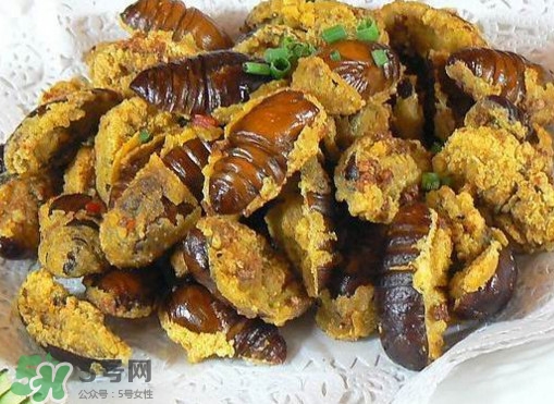 水煮蟬蛹怎么做？蟬蛹煮多久可以熟？