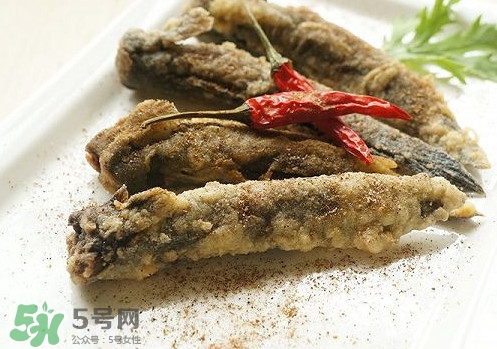 彈涂魚(yú)是兩棲動(dòng)物嗎？彈涂魚(yú)營(yíng)養(yǎng)價(jià)值有哪些