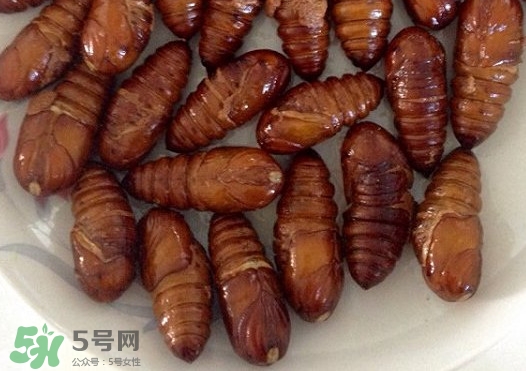 蟬蛹吃什么部位？蟬蛹都有哪些營養(yǎng)價值