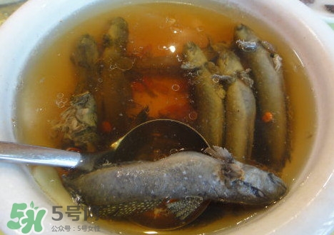 跳跳魚多少錢一斤？跳跳魚是淡水魚嗎？