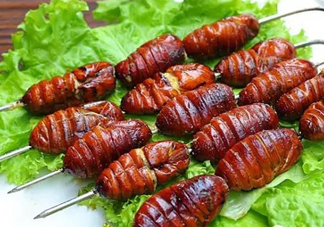 蟬蛹怎么處理？蟬蛹怎么保存