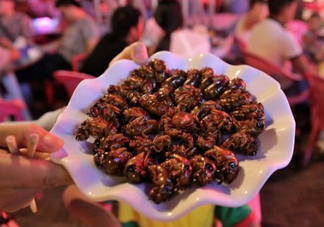 知了猴為什么要用鹽水泡？知了猴用鹽水泡多久？