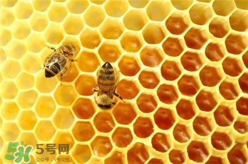 三伏貼能治過敏性鼻炎嗎？三伏貼治過敏性鼻炎貼哪里？