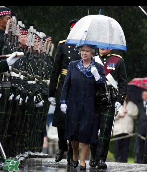 fulton雨傘多少錢？富爾頓雨傘價格