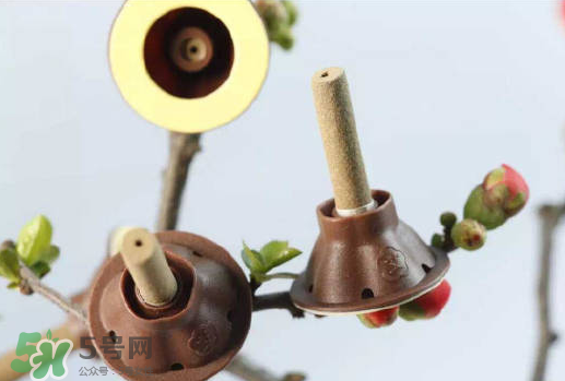 艾灸貼什么時候貼最好？艾灸貼晚上可以用嗎？