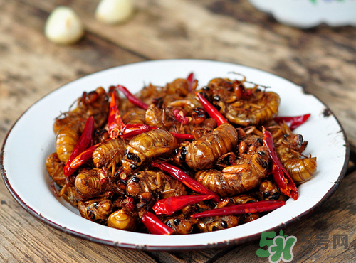 知了猴吃多了好不好？知了猴吃多了會怎么樣？