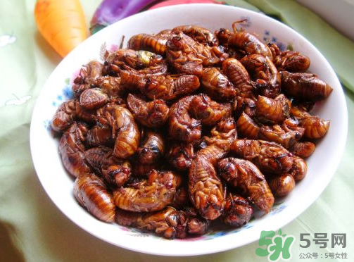 知了猴吃多了好不好？知了猴吃多了會怎么樣？