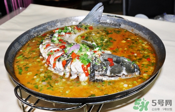 三伏灸可以吃魚(yú)嗎？三伏灸可以吃什么魚(yú)？