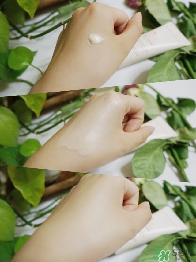 發(fā)芽時(shí)光護(hù)膚品怎么樣 buddate護(hù)膚品怎么樣 發(fā)芽時(shí)光護(hù)膚品怎么樣 buddate護(hù)膚品怎么樣