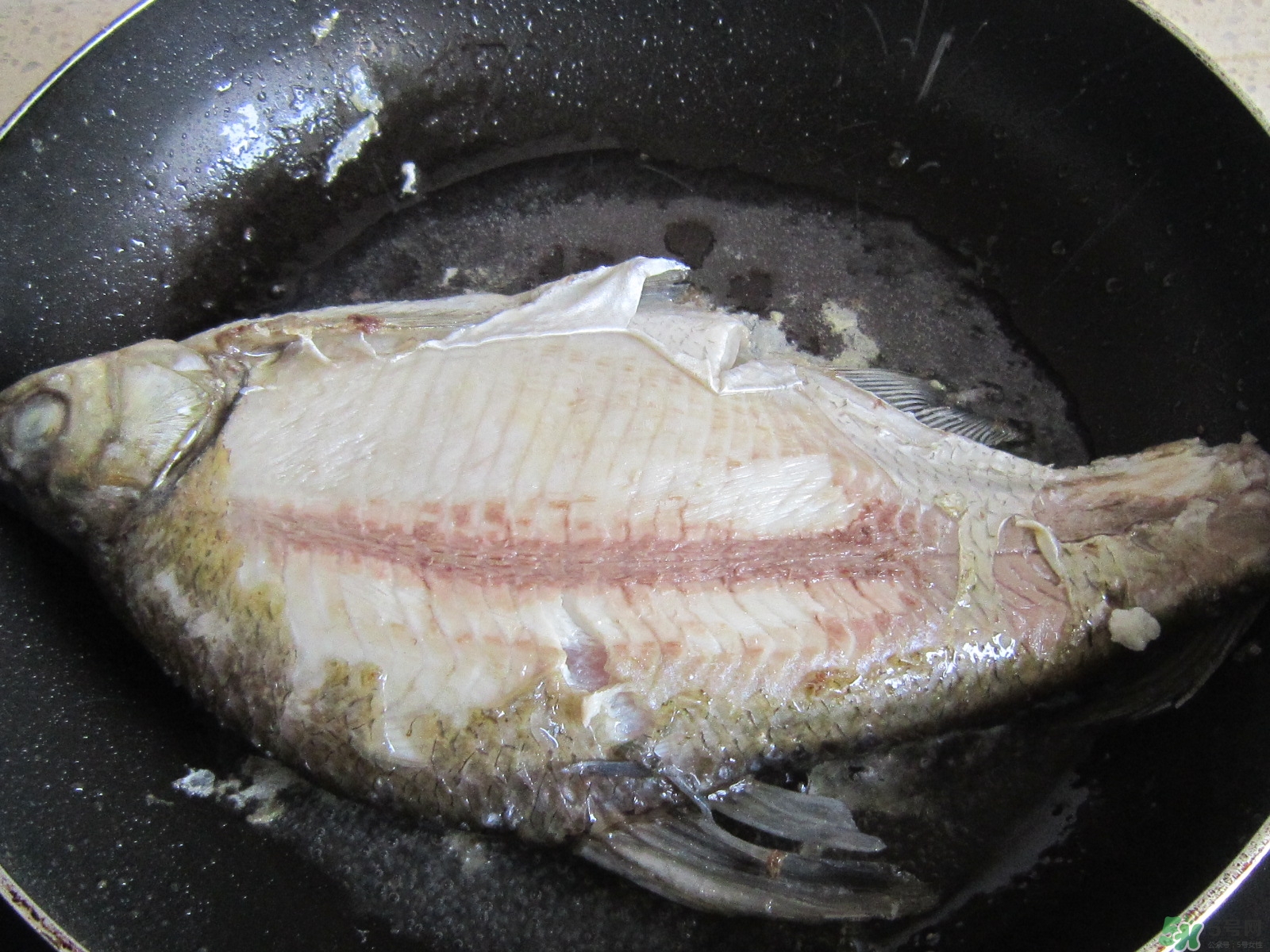 三伏灸可以吃魚(yú)嗎？三伏灸可以吃什么魚(yú)？