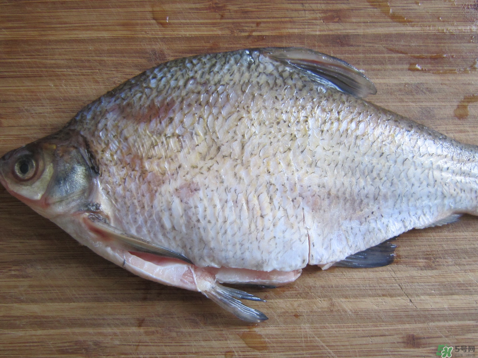 三伏灸可以吃魚(yú)嗎？三伏灸可以吃什么魚(yú)？