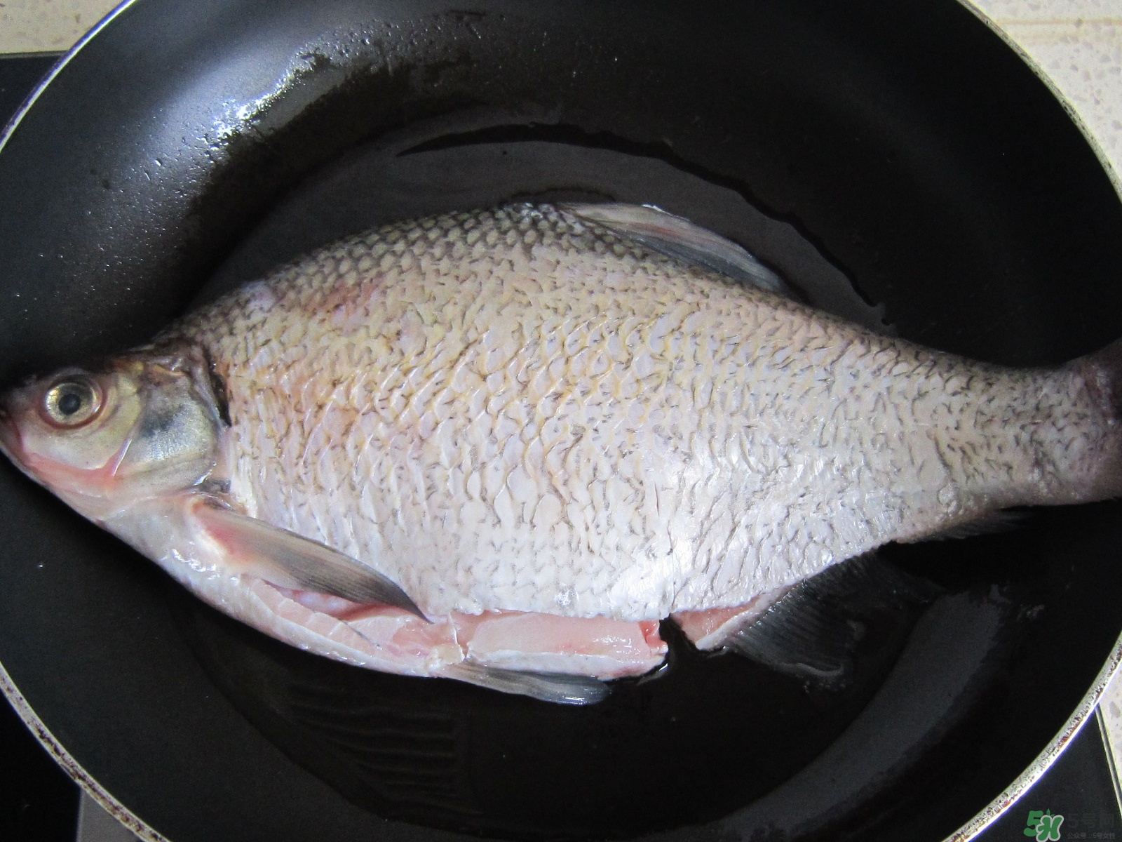 三伏灸可以吃魚(yú)嗎？三伏灸可以吃什么魚(yú)？