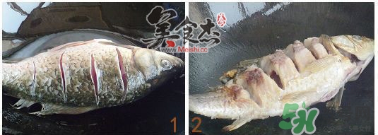 三伏灸可以吃魚(yú)嗎？三伏灸可以吃什么魚(yú)？