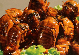 吃知了猴有什么好處？吃知了猴的好處與壞處