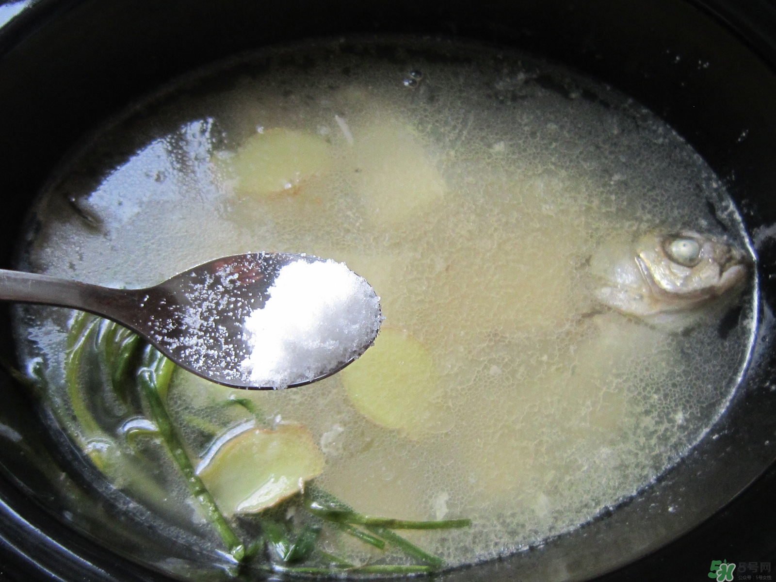 三伏灸可以吃魚(yú)嗎？三伏灸可以吃什么魚(yú)？