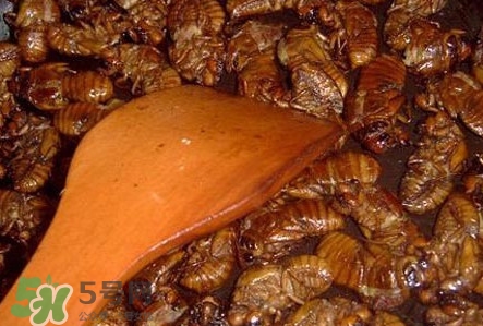 幼蟬猴孕婦可以吃嗎？孕婦吃幼蟬猴有什么好處