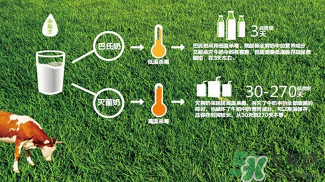 巴氏奶是純牛奶嗎？巴氏奶和常溫奶的區(qū)別