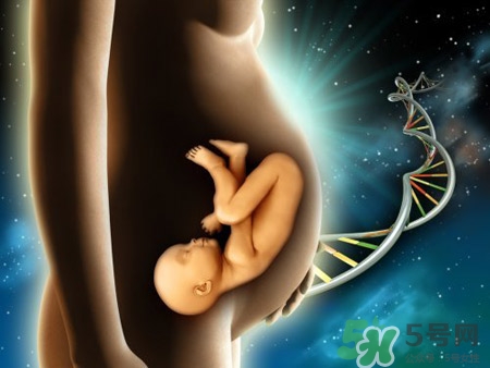 愛樂維國產(chǎn)的好還是國外的好？愛樂維國產(chǎn)和進(jìn)口的區(qū)別