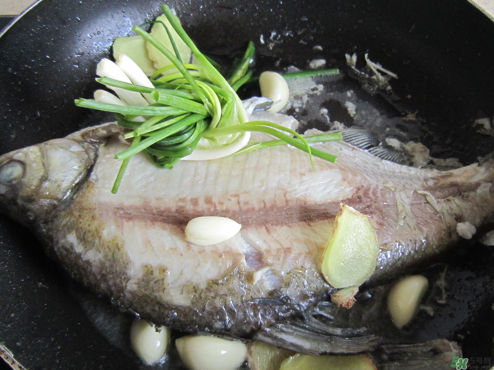 三伏灸可以吃魚(yú)嗎？三伏灸可以吃什么魚(yú)？