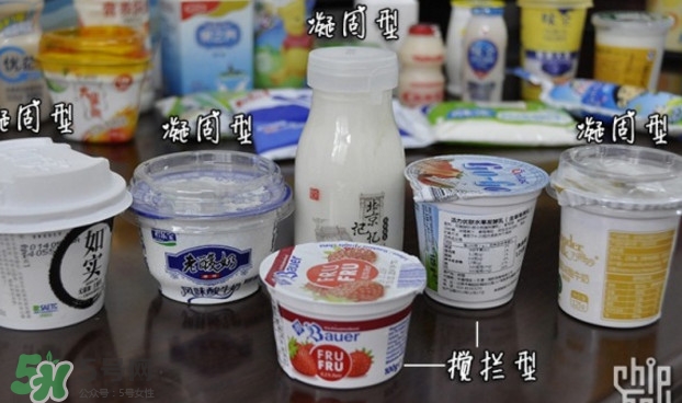 什么牌子的酸奶好？每天喝酸奶好還是純牛奶好