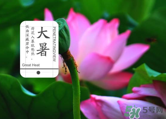 大暑和處暑是什么意思？大暑熱還是處暑熱？