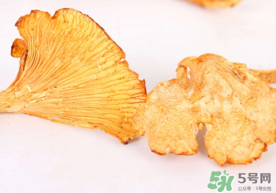 雞油菌多少錢(qián)一斤？雞油菌和雞樅菌有什么區(qū)別