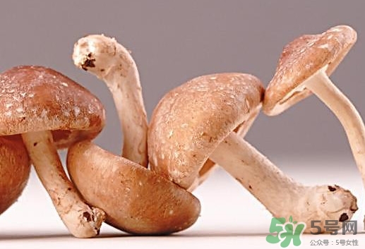 什么病不能吃香菇？香菇不能和什么一起吃