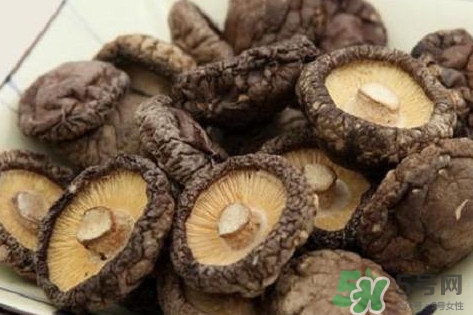 香菇是蘑菇嗎？香菇和蘑菇有什么區(qū)別