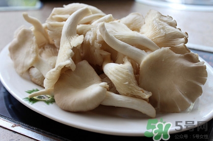 平菇怎么吃最有營養(yǎng)？平菇長白毛還能吃嗎